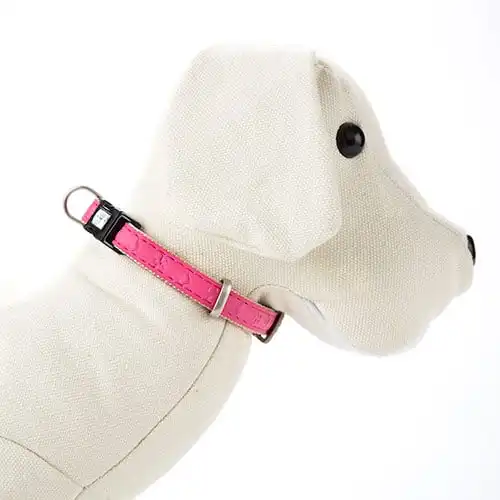 MacLeather Star Collar Rosa de Polipiel para perros