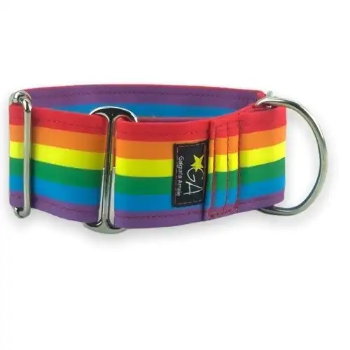 Galguita amelie collar galgo Arco iris