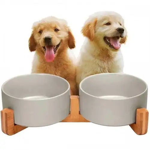 Edipets comedero doble de porcelana gris para mascotas