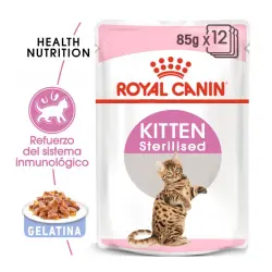 Royal Canin Kitten Sterilised gelatina para gatos