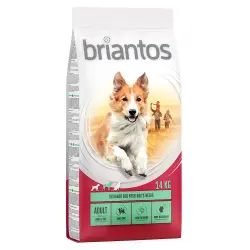 Briantos 14 kg pienso para perros ¡precio especial! - Adult Cordero y arroz