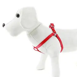 Arnés para perros Basic Rojo Talla L