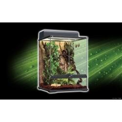 Kit Terrario Tropical Exo Terra Mediano