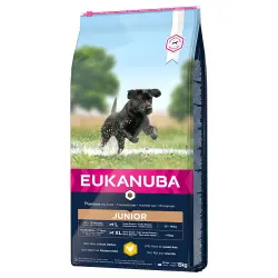 Eukanuba Developing Junior razas grandes y muy grandes con pollo - 15 kg