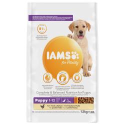 Iams Canine Puppy&Junior Razas Grandes 12 Kg.