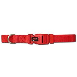 Collar para perros Basic Rojo Talla M