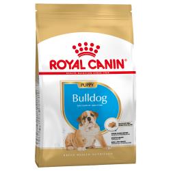 Royal Canin Bulldog Inglés Junior 12 Kg.