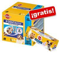 Snack para perros medianos Pedigree Dentastix 1400 gr.