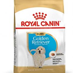 Royal Canin Golden Retriever Junior 3 Kg.