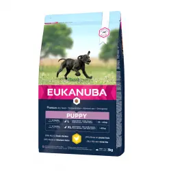 Eukanuba Puppy Large Pollo pienso para perros