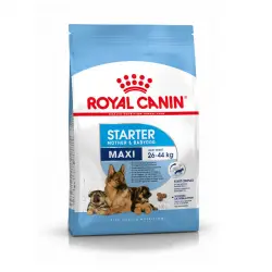 Royal Canin Starter Mother&Baby Maxi pienso para perros