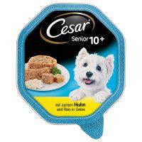 Cesar tarrina Senior 150 gr.