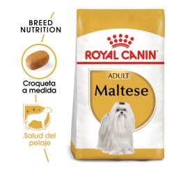 Royal Canin Bichón Maltés Adult 500 gr.