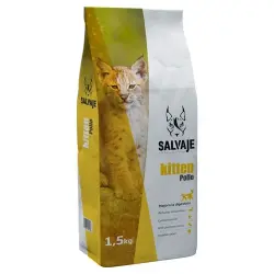 Salvaje Kitten Pollo pienso para gatos