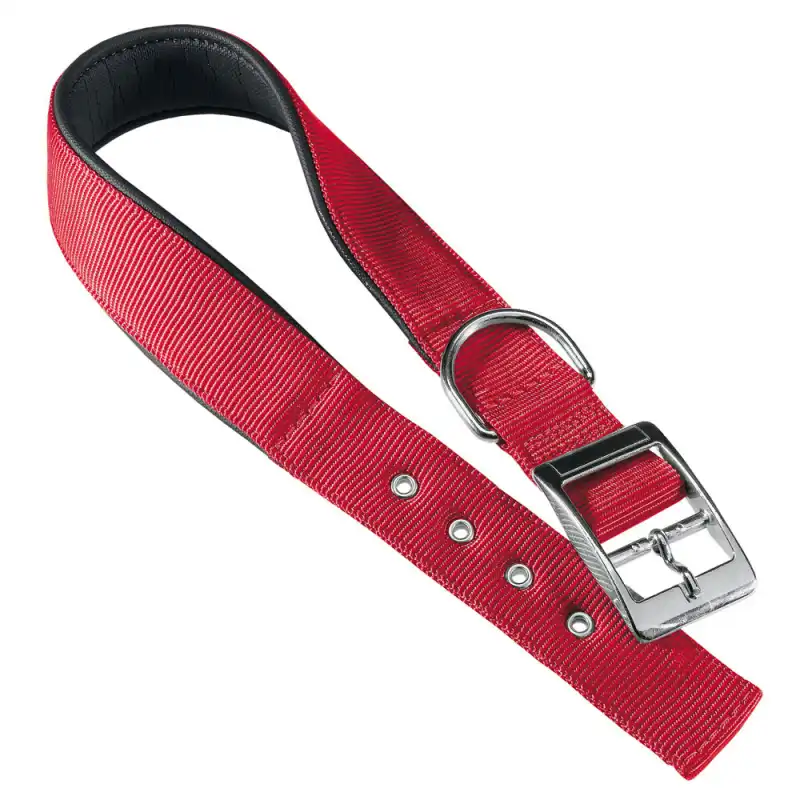 Collar Ferplast para perros Daytona rojo