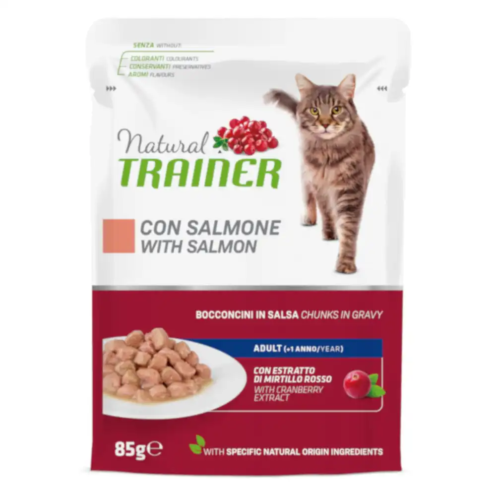 Trainer Natural Adult con salmón sobre 85 gr.