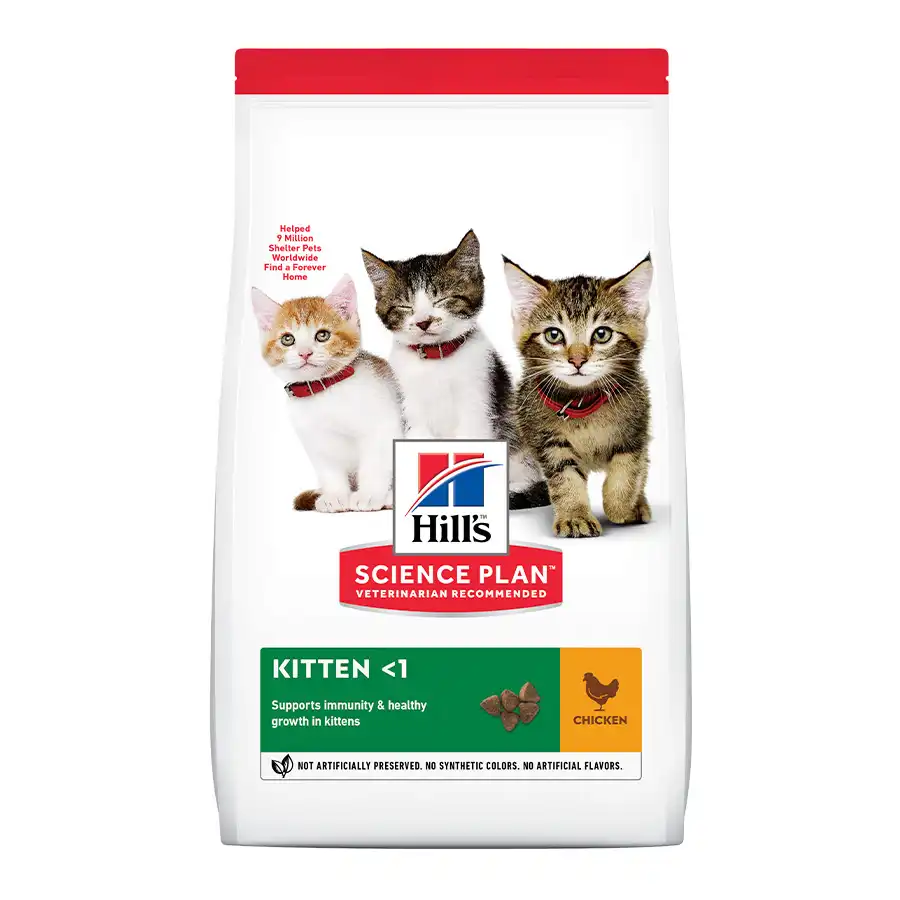 Hill's Science Plan Kitten Pollo pienso